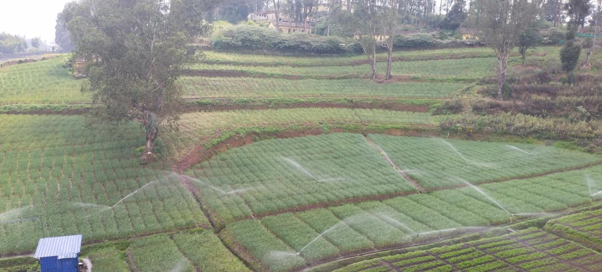 J J Homes Ooty Bagian luar foto