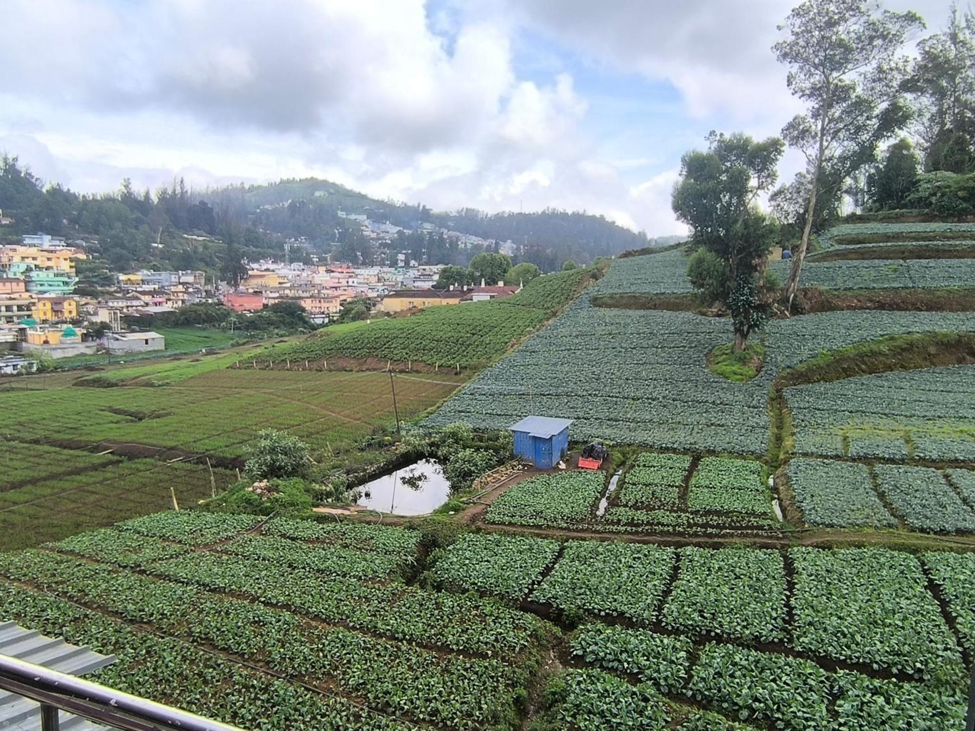 J J Homes Ooty Bagian luar foto